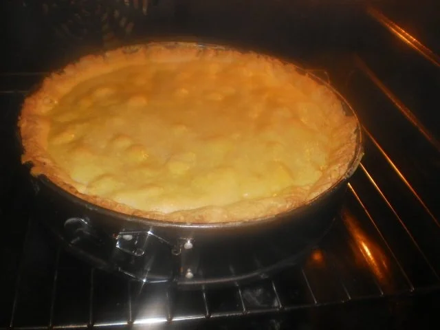 Apfel-Birnen-Kuchen - Rezept - Bild Nr. 14