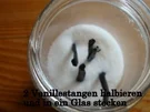 Bourbon Vanillezucker - Basics - Rezept