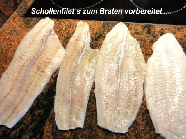 Rezept: Fisch: SCHOLLENFILET an Senfsauce Bild Nr. 3 Fisch: SCHOLLENFILET an Senfsauce - Rezept - Bild Nr. 3