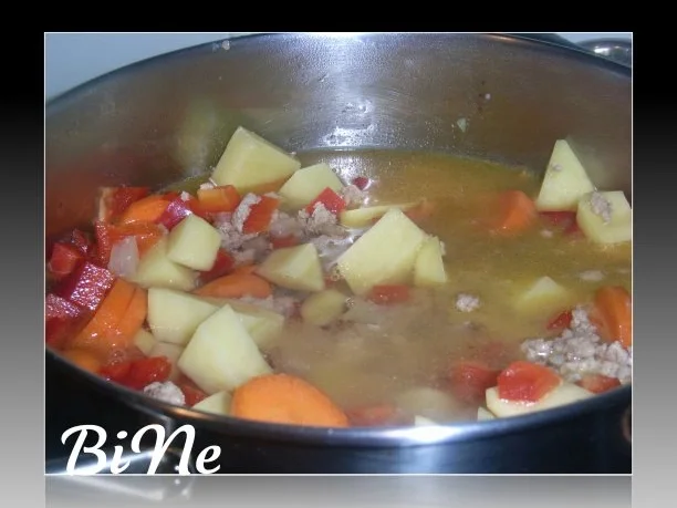 Rezept: BiNe` S HACKFLEISCHSUPPE Bild Nr. 4 BiNe` S HACKFLEISCHSUPPE - Rezept - Bild Nr. 4