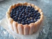 Heidelbeer-Stracciatella-Charlotte - Rezept