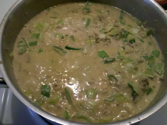 Rezept: Hackfleisch: Hackfleisch-Nudeleintopf im Tandoori-Stil Bild Nr. 7 Hackfleisch: Hackfleisch-Nudeleintopf im Tandoori-Stil - Rezept - Bild Nr. 7