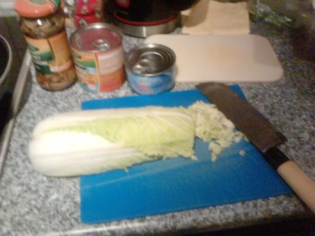 Die-Aus-Resten-werden-die-Besten-Ideen-Pfanne - Rezept - Bild Nr. 2