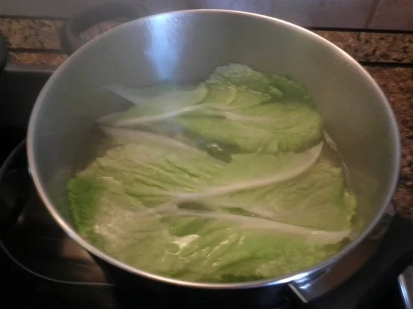 Chinakohl - Röllchen ... - Rezept - Bild Nr. 3