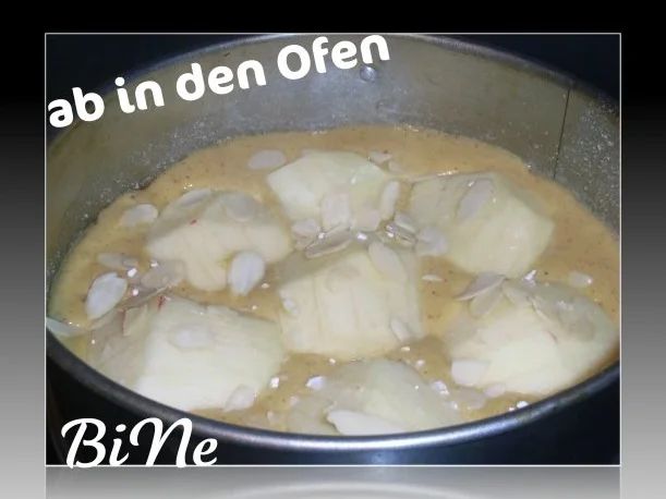 Rezept: BiNe` S APFEL - HONIG - KUCHEN Bild Nr. 4 BiNe` S APFEL - HONIG - KUCHEN - Rezept - Bild Nr. 4