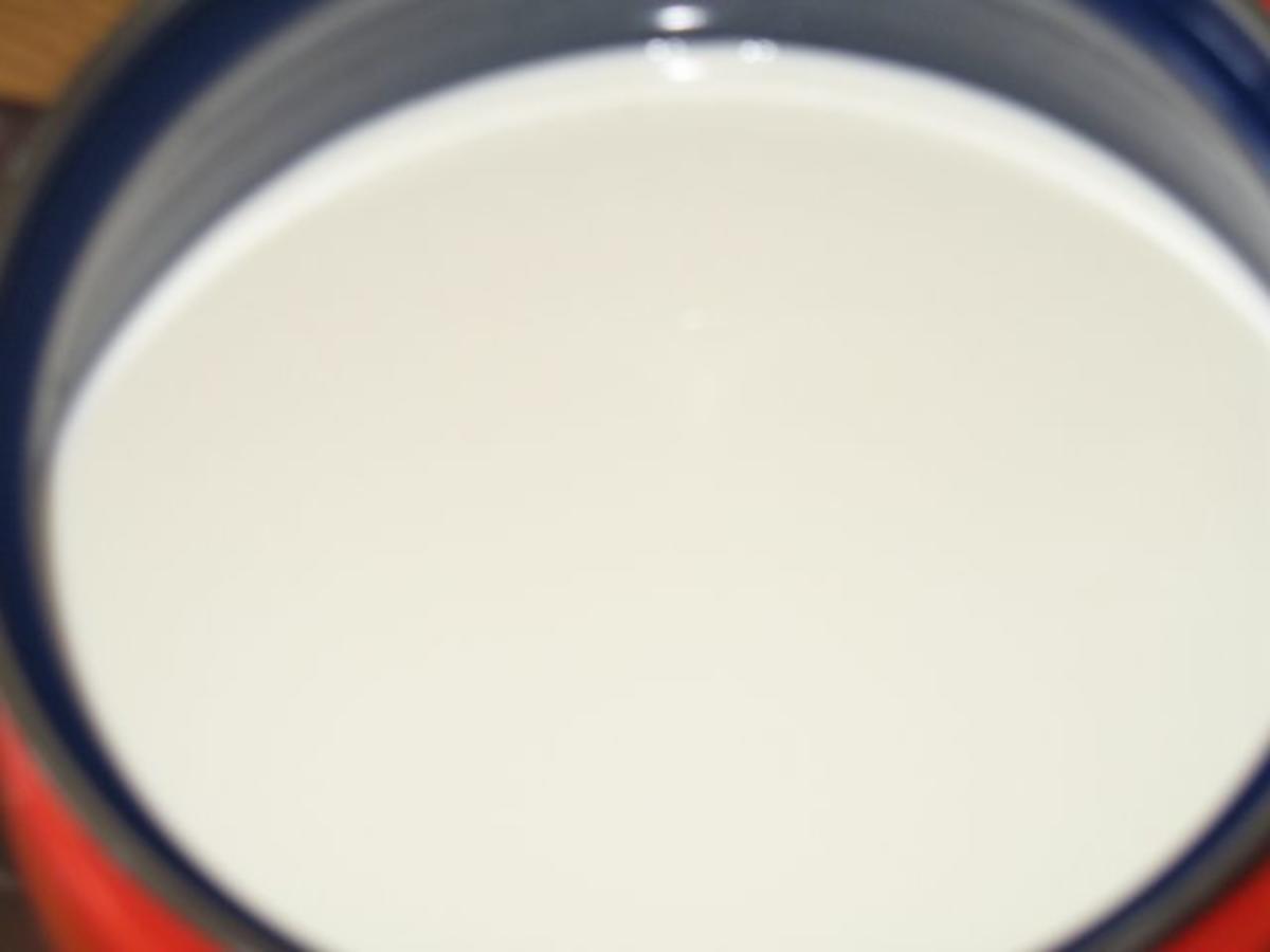 Basics - Naturjoghurt - selbst hergestellt - Rezept - Bild Nr. 4