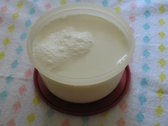 Rezept: Basics - Naturjoghurt - selbst hergestellt Bild Nr. 6 Basics - Naturjoghurt - selbst hergestellt - Rezept - Bild Nr. 6