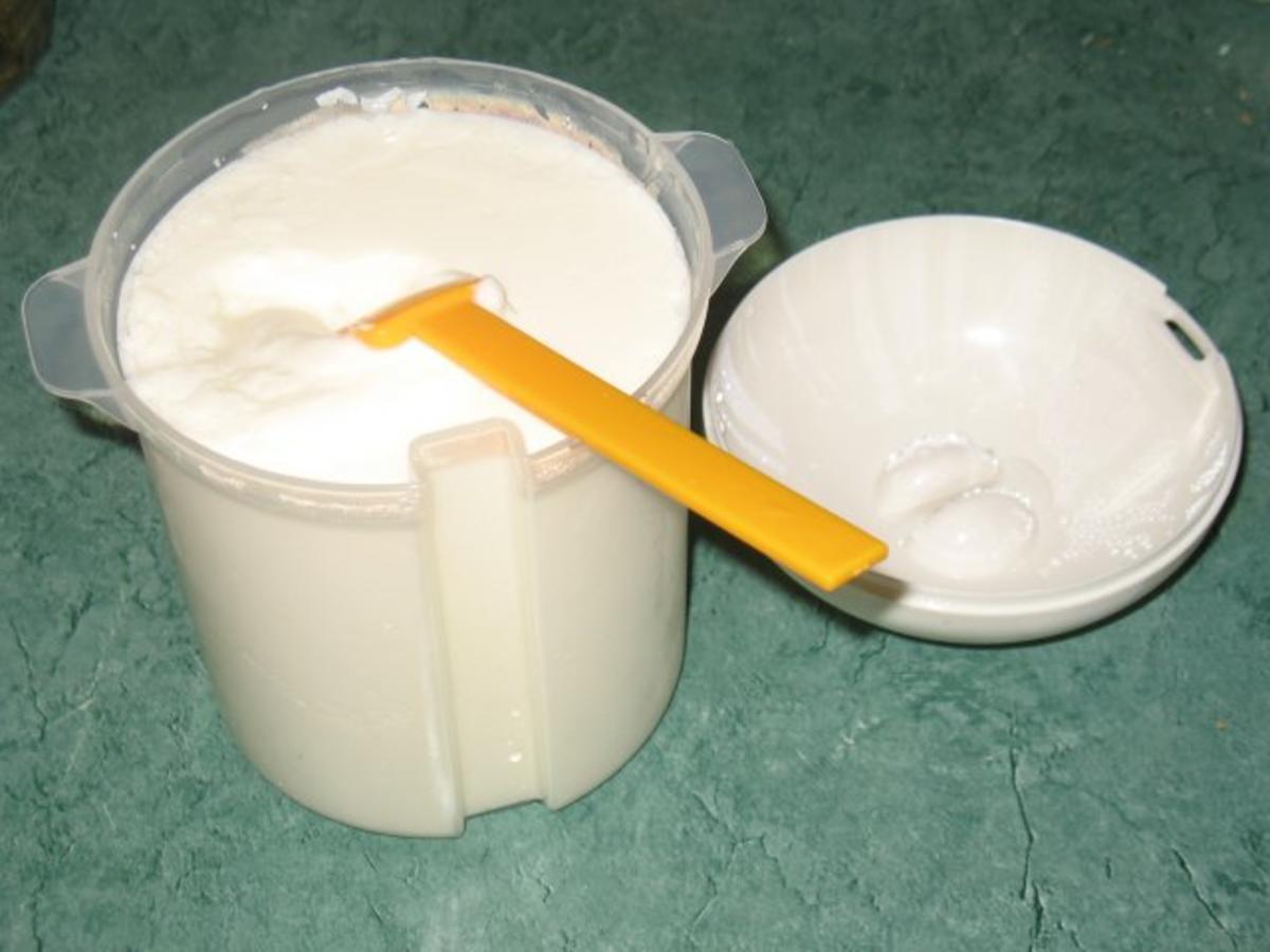 Basics - Naturjoghurt - selbst hergestellt - Rezept - Bild Nr. 13