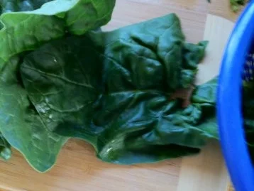 Blattspinat-Rührei mit Garnelenschwänze.. Fit in den Frühling ;-)) - Rezept - Bild Nr. 5