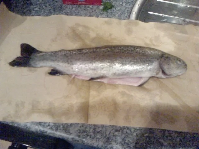 Rezept: Mehlige gegrillte Forelle mit chilligen sauren Bratkartoffeln Bild Nr. 8 Mehlige gegrillte Forelle mit chilligen sauren Bratkartoffeln - Rezept - Bild Nr. 8