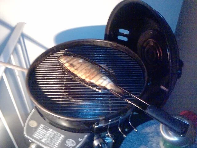 Rezept: Mehlige gegrillte Forelle mit chilligen sauren Bratkartoffeln Bild Nr. 15 Mehlige gegrillte Forelle mit chilligen sauren Bratkartoffeln - Rezept - Bild Nr. 15