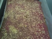 Rezept: Glühwein- Schnitten Glühwein- Schnitten - Rezept