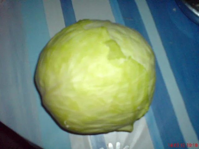 KOHLKOPF  GEFÜLLT - Rezept - Bild Nr. 2