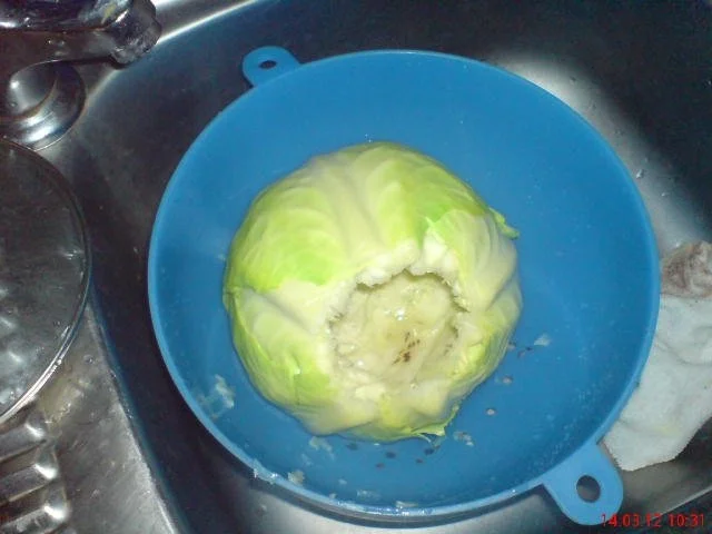 KOHLKOPF  GEFÜLLT - Rezept - Bild Nr. 5