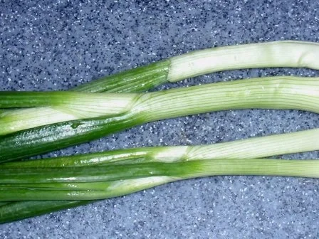 Fisch-Gemüse aus dem Backofen mit Basmati-Reis - Rezept - Bild Nr. 3