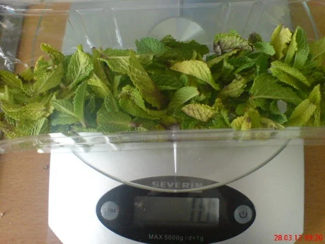 PFEFFERMINZSIRUP  ~~~ für heiße Tage ~~~ - Rezept - Bild Nr. 3