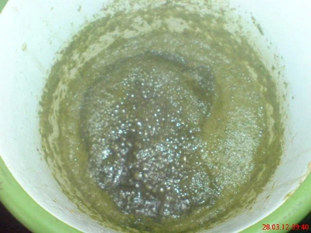 PFEFFERMINZSIRUP  ~~~ für heiße Tage ~~~ - Rezept - Bild Nr. 7