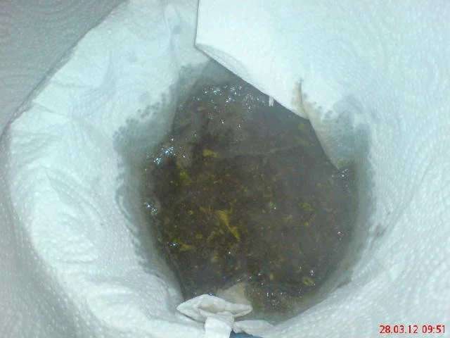 PFEFFERMINZSIRUP  ~~~ für heiße Tage ~~~ - Rezept - Bild Nr. 8