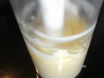 Rezept: Majonäse selbstgemacht Bild Nr. 3 Majonäse selbstgemacht - Rezept - Bild Nr. 3