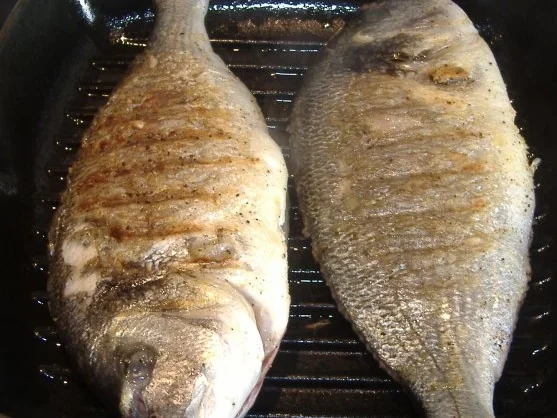 Dorade mit Lauch und Avgolemono - Rezept - Bild Nr. 3