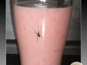 BiNe` S SPOOKY - SMOOTHIE - Rezept - Bild Nr. 4