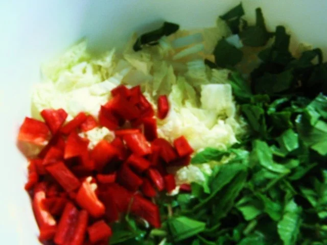 Muntermachersalat mit Seelachsschitzel - Rezept - Bild Nr. 3