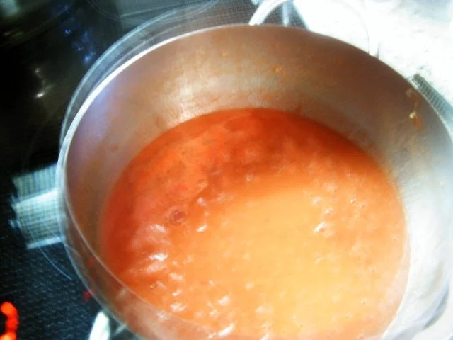 Rezept: Champignon-Hähnchen-Auflauf Bild Nr. 6 Champignon-Hähnchen-Auflauf - Rezept - Bild Nr. 6