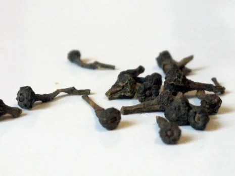 Zimtblüten-Panna-Cotta - Rezept - Bild Nr. 2