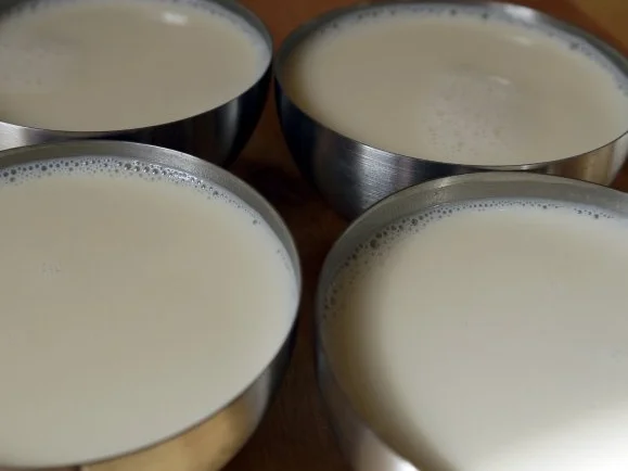 Zimtblüten-Panna-Cotta - Rezept - Bild Nr. 5