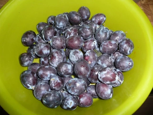 Quetschekuchen -Pfälzische Küche - Rezept - Bild Nr. 5