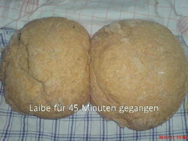 ~~BACKEN~~ Gefülltes Eiweißvollkornbrot - Rezept - Bild Nr. 9