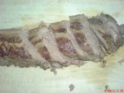 ~~WILD~~  Rehlende kurzgebraten - Rezept