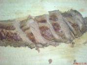 ~~WILD~~  Rehlende kurzgebraten - Rezept