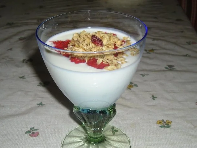 Mein probiotische Joghurt (Gesundheit beginnt im Darm) - Rezept