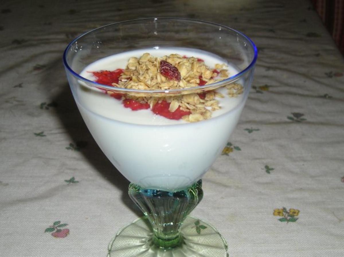 Mein probiotische Joghurt (Gesundheit beginnt im Darm) Rezept kochbar.de