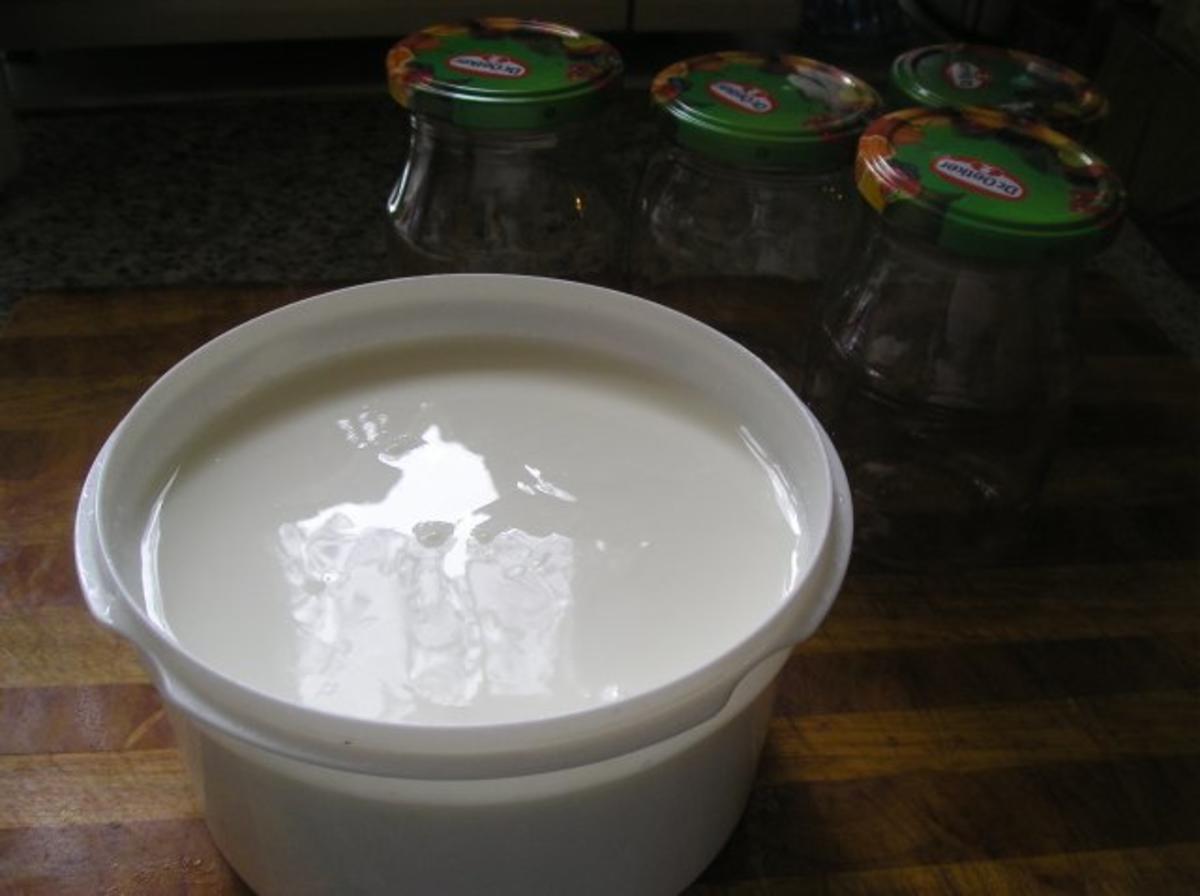 Mein probiotische Joghurt (Gesundheit beginnt im Darm) - Rezept - Bild Nr. 3