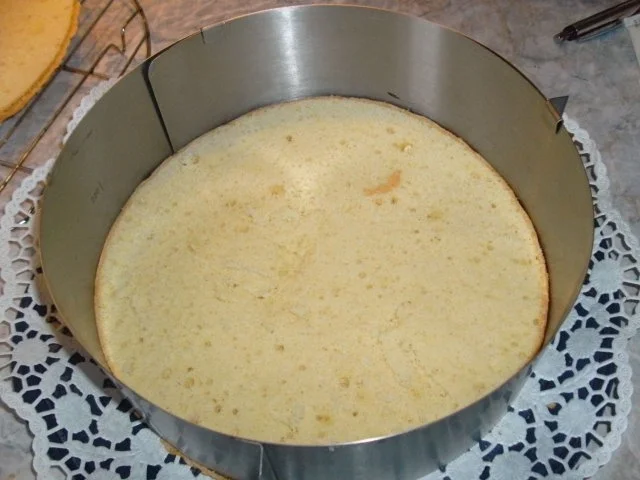 Mango-Quark-Torte - Rezept - Bild Nr. 14