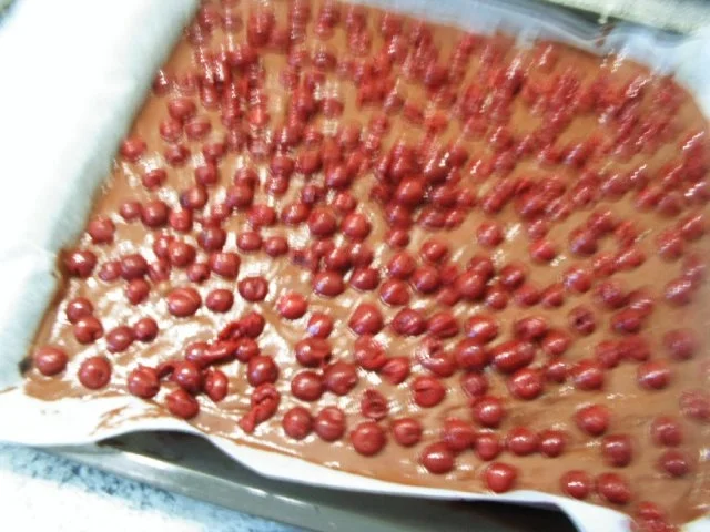 Rezept: Schoko-Kirsch-Kuchen Bild Nr. 7 Schoko-Kirsch-Kuchen - Rezept - Bild Nr. 7