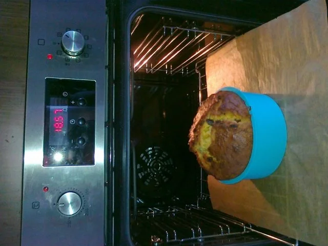 Karotten – Kuchen mit Frischkäsehülle - Rezept - Bild Nr. 3