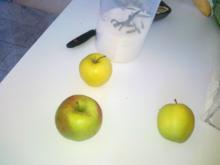 Hefe – Apfel – Blechkuchen mit eingelegten Rosinen ( 24 Monate ) - Rezept