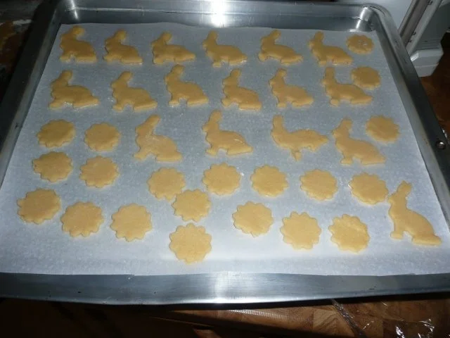 Rezept: Osterhasen , Blümchen = Deko für den Osterkuchen Bild Nr. 4 Osterhasen , Blümchen = Deko für den Osterkuchen - Rezept - Bild Nr. 4