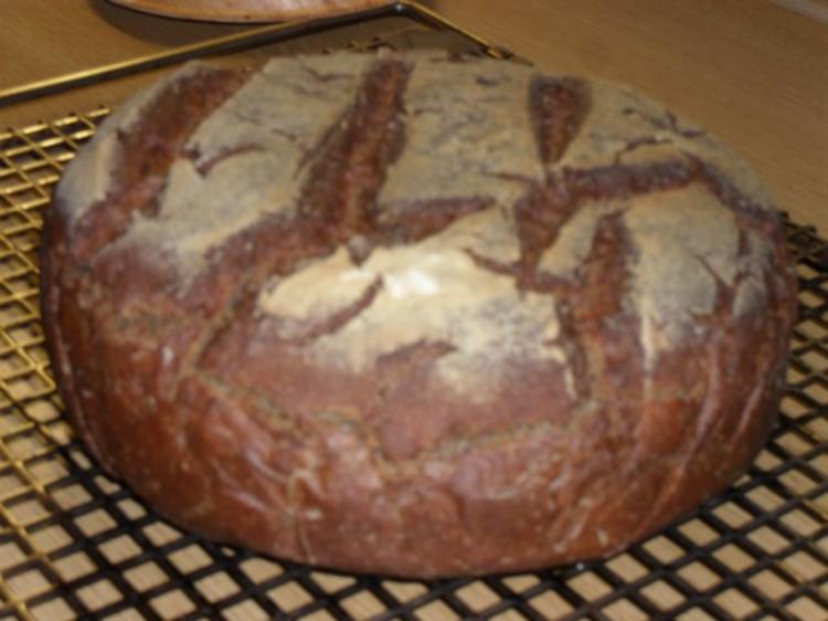 Vollkornbrot Roggen Dinkel Rezept Kochbar De