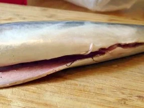 Rezept: Pfeffermakrele, selbst geräuchert Bild Nr. 3 Pfeffermakrele, selbst geräuchert - Rezept - Bild Nr. 3