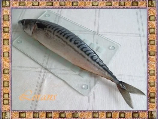 Gebratene Makrele mit einer raffinierten  Kräuterkomposition - Rezept - Bild Nr. 2