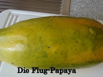 Papaya Quark-Joghurt-Sahne Torte - Rezept - Bild Nr. 3