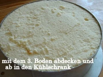 Papaya Quark-Joghurt-Sahne Torte - Rezept - Bild Nr. 13