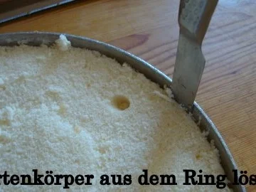 Papaya Quark-Joghurt-Sahne Torte - Rezept - Bild Nr. 16