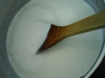 Kokosmilchreis mit beschwipster Orangen-Mangosoße - Rezept - Bild Nr. 5