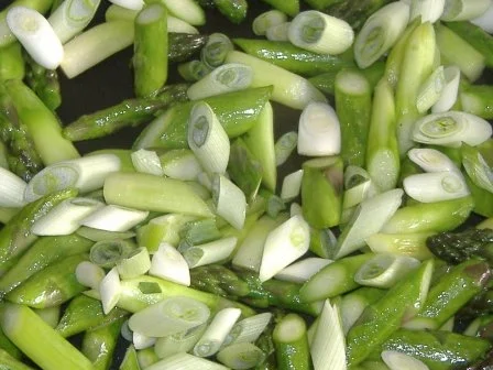 Rezept: Lauwarmer Salat von grünem Spargel und Thunfisch Bild Nr. 3 Lauwarmer Salat von grünem Spargel und Thunfisch - Rezept - Bild Nr. 3