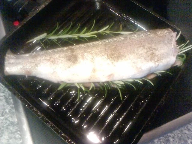 Bürgerliche Forelle mit Rosmarin geadelt - Rezept - Bild Nr. 4